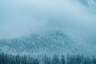 Verse of the Day | Jan 31