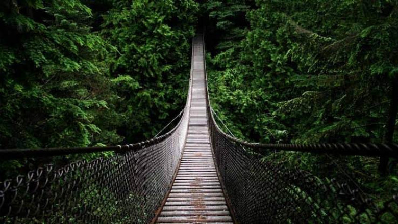 Verse of the Day | July 9
