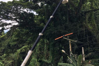 Davao Light sends team to clear obstructions in power lines