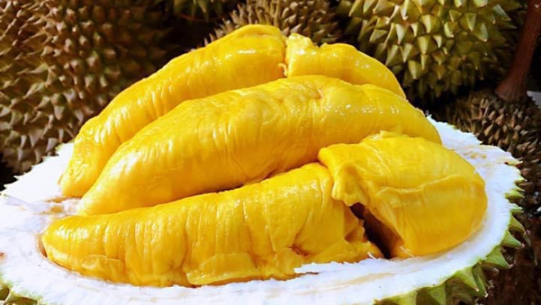 Davao City faces durian supply shortage