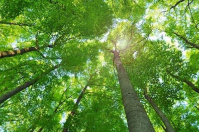 Verse of the Day | August 10