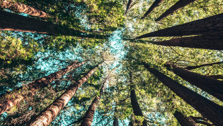 Verse of the Day | September 4