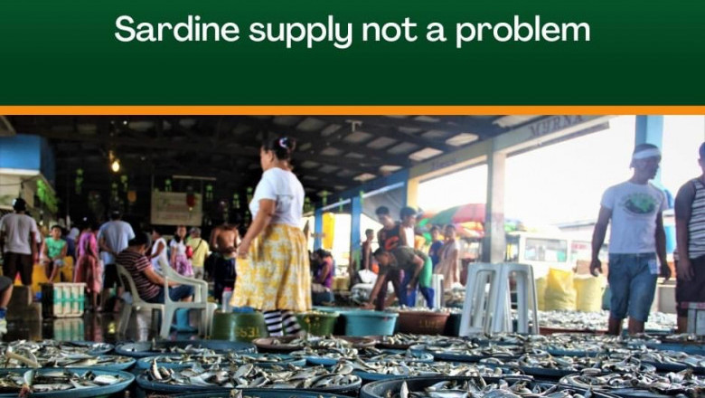 Sardine supply, not a problem