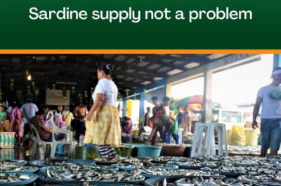Sardine supply, not a problem