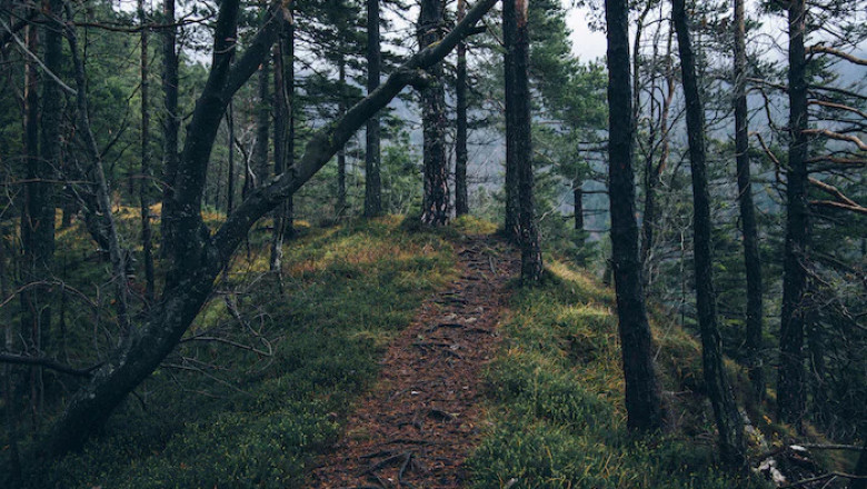 Verse of the Day | September 13