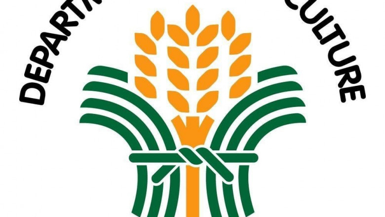 DA gives P100-M aid for onion growers