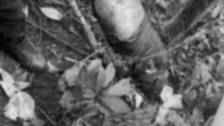 Top NPA leader killed in Agusan Norte clash
