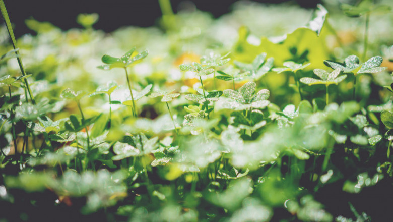 Verse of the Day | September 25