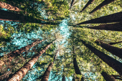 Verse of the Day | October 19