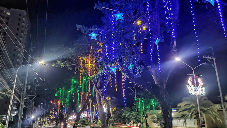 Toxic watchdog group warns public on buying Christmas lights