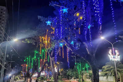 Toxic watchdog group warns public on buying Christmas lights