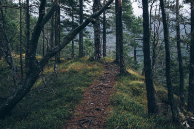 Verse of the Day | November 25