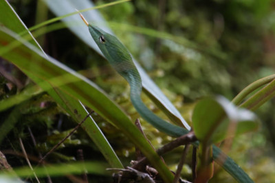 Verse of the Day | January 2, 2023