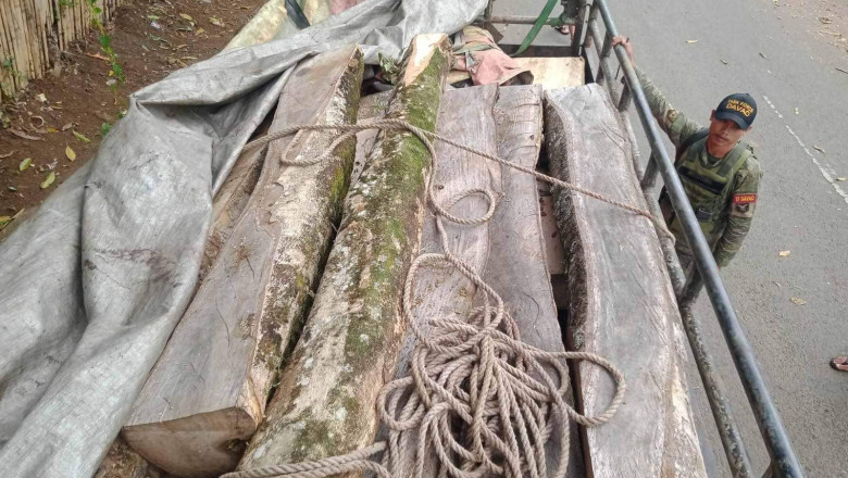 Illegal lumber, firearms seized at Davao City checkpoints
