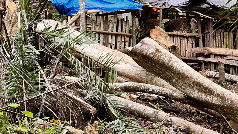 Pagpamutol ug kahoy sa Brgy.Kibalang, Marilog, gi-kuwestyon