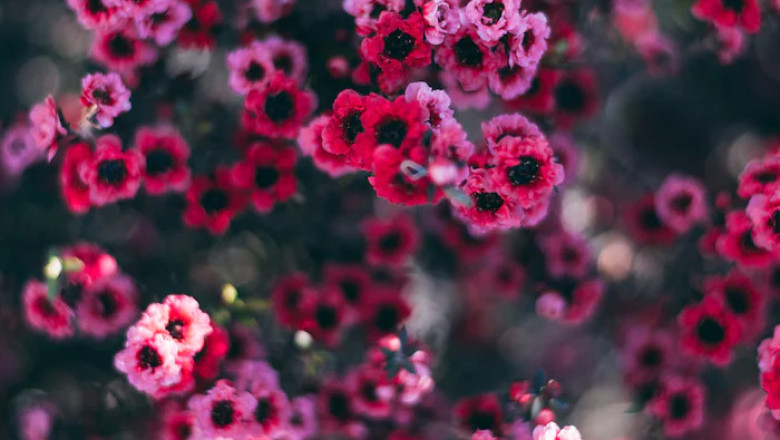 Verse of the Day | March 21,2023