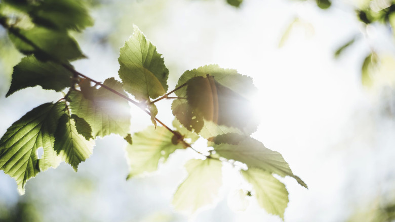 Verse of the Day | May 24, 2023