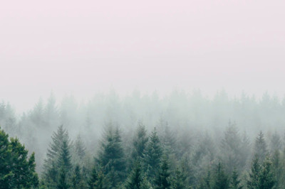 Verse of the Day | May 31, 2023