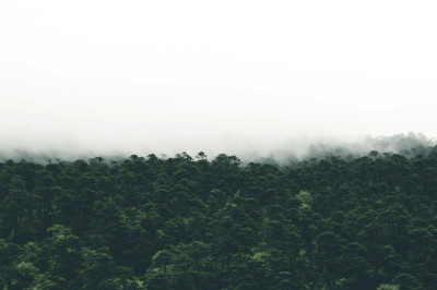 Verse of the Day | June 1,2023