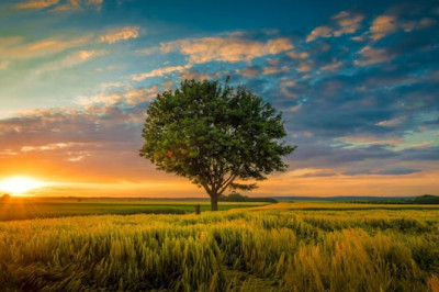 Verse of the Day | June 13, 2023