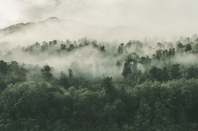 Verse of the Day | June 19, 2023