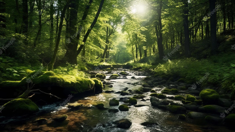 Verse of the Day | June 27, 2023