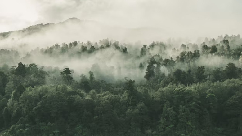 Verse of the Day | July 3, 2023