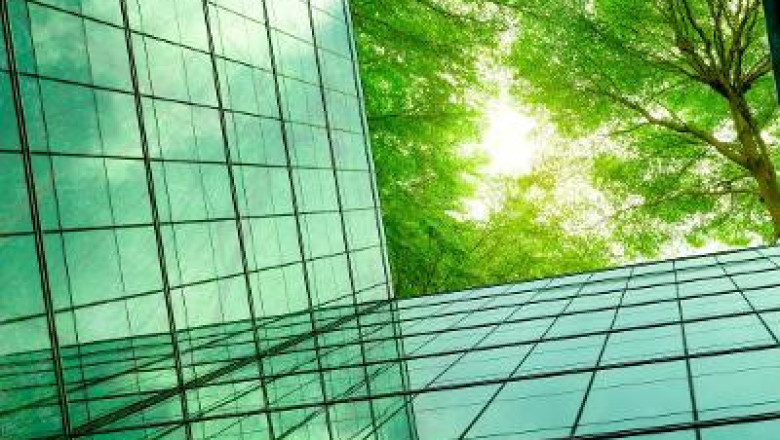 Globe implements new policies to move supply chain towards sustainable practices
