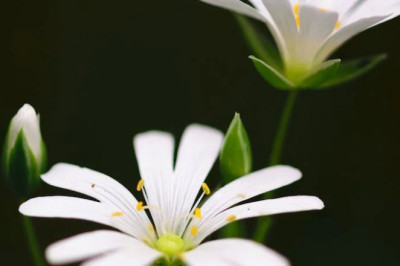 Verse of the Day | September 10, 2023