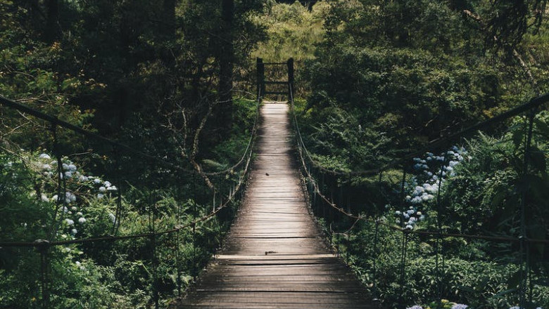 Verse of the Day | October 7, 2023