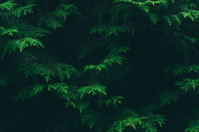 Verse of the Day | Oct. 19, 2023
