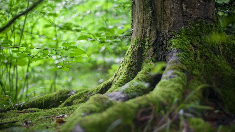 Verse of the Day | Feb. 24, 2024