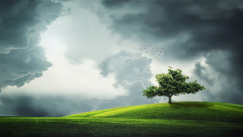 Verse of the Day | April 14, 2024