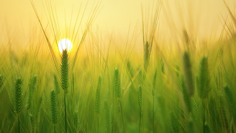 Verse of the Day | April 21, 2024