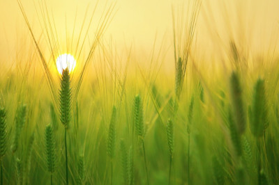 Verse of the Day | April 21, 2024