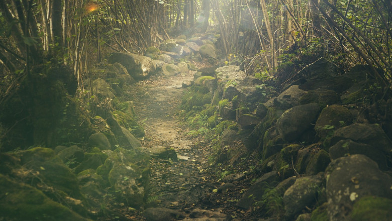 Verse of the Day | April 28, 2024