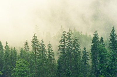 Verse of the Day | July 17, 2024