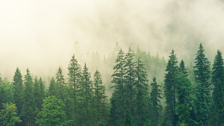 Verse of the Day | Sept. 30, 2024