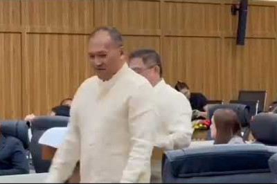 Davao City Council okays cutting of 60 hazardous dead trees at Dacudao, Agdao