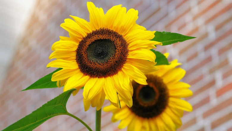 Verse of the Day | August 9, 2025
