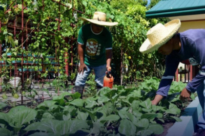 CAgrO helps farmers build  cost-efficient sustainable nurseries