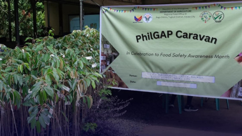 City Agri intensifies PhilGAP certification for Davao durian exports