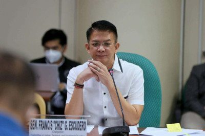 CHIZ: MSMEs NEED BETTER SUPPORT, ACCESS TO LENDING TO BOOST EMPLOYMENT