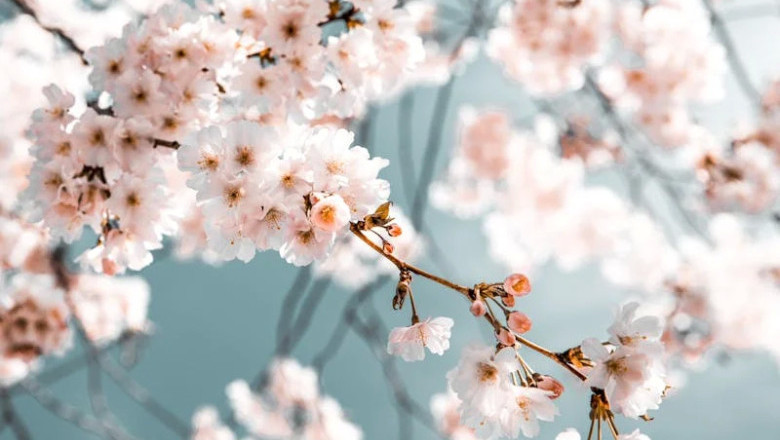 Verse of the Day | April 23, 2026