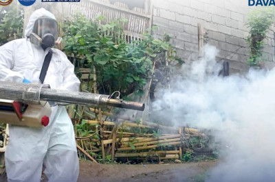 DCHO reports: Dengue drops 61.53%