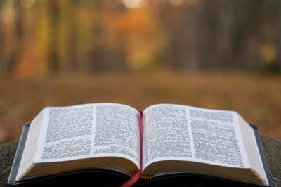Verse of the Day | August 8, 2026