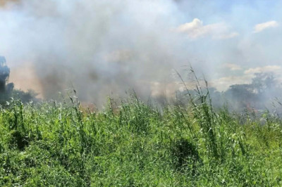 GROUPS URGE PUBLIC: STOP BURNING FARM, HOUSEHOLD WASTE AMID HAZE